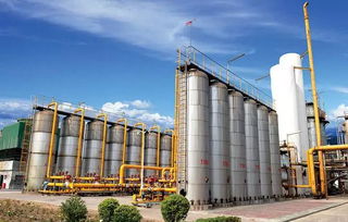 慶祝新中國(guó)成立70周年 平煤神馬集團(tuán)11個(gè)化工新材料重點(diǎn)項(xiàng)目集中開竣工